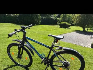 Serious Cycles Germany