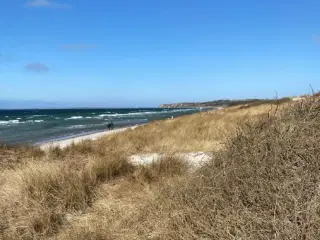 Sommerhus ved Ristinge Strand
