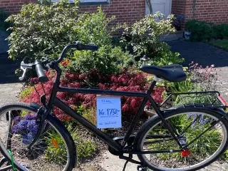 Herre cykel