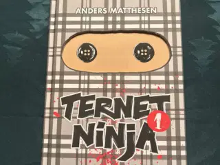 Ternet Ninja 1