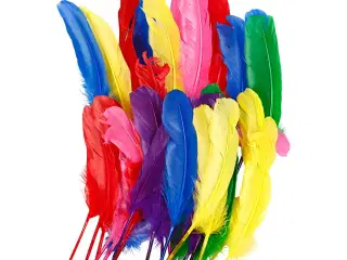 Assorterede Hønsefjer 20 cm - 36 stk. til Kreative Projekter