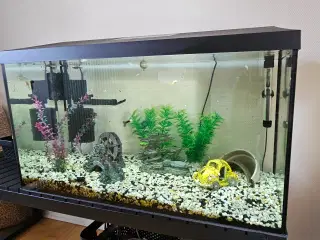 Akvarie 105 L med dag/nat lys og tilbehør