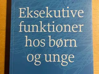 Eksekutive funktioner hos børn og unge