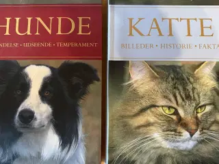 Hund og kat bog