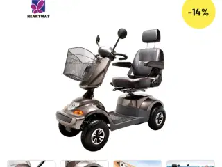 El scooter NY