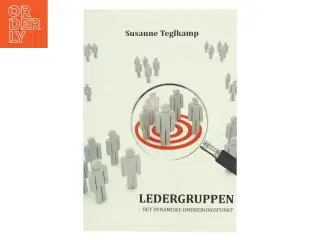 Ledergruppen : det dynamiske omdrejningspunkt af Susanne Teglkamp (Bog)