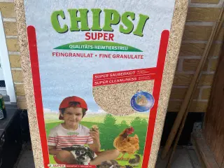 Chipsi bundlag
