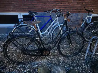 Norden Damecykel