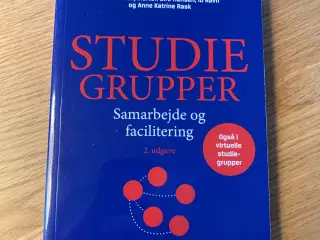 Studiegrupper samarbejde og facilitering