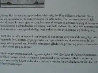 odense slot - kloster, konge, stat og kommune