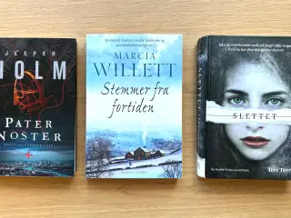 📚 Bogudsalg – 50 kr. pr. bog!