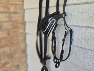 PONY-TRENSE