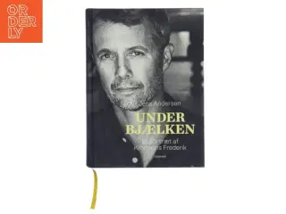 Under bjælken af Jens Andersen (f. 1955) (Bog)