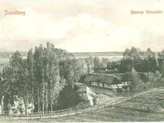 Skaarup Skovmølle 1909