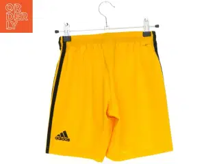 Adidas shorts (str. 140 cm)