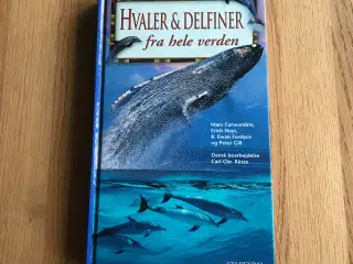 Hvaler & Delfiner fra hele verden