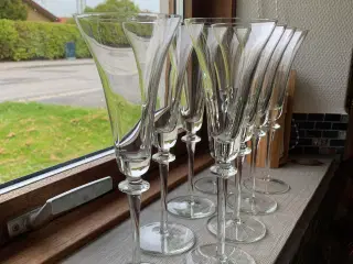 8 champagneglas /champagnefløjter