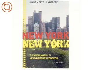 New York, New York : ti vandringer i newyorkernes fodspor af Anne Mette Lundtofte (Bog)