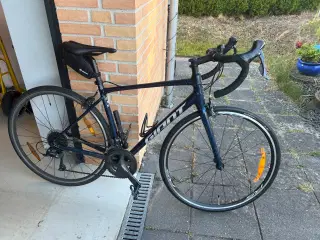 Racercykel Giant Contend 