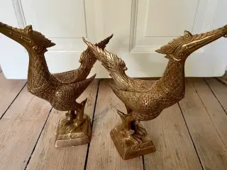 Kinesiske dragefugle par