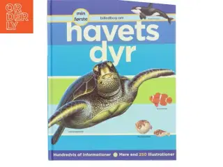 Min første billedbog om havets dyr af Robert Coupe (Bog)