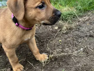 FamilyGuardianMix - Love bombs 🩶💣