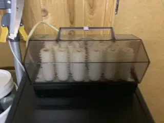 Anita curler uden clips