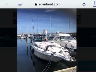 Motorbåd Sea Ray