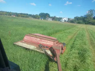 Skårlægger 