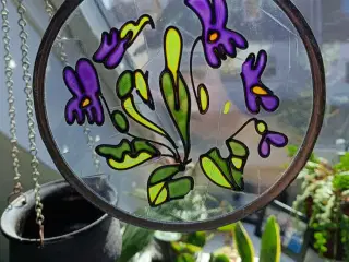 Solfanger med lilla blomster 
