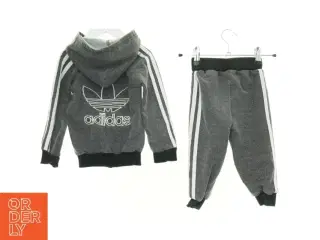 Sæt (2 dele) fra Adidas (str. 80 cm)