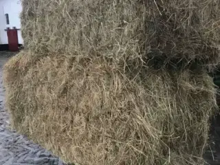 NEDSAT Hø i minibig