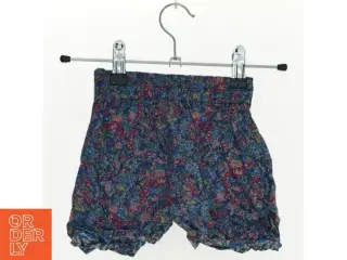 Shorts (str. 80 cm)