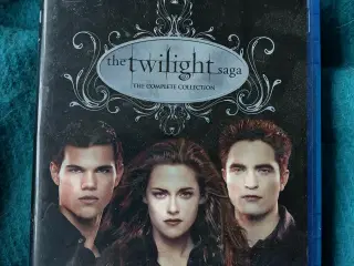 The Twilight Saga