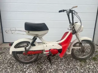 1983 Puch Mini Maxi