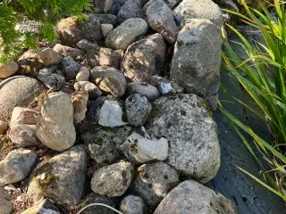 Gratis sten