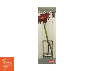 Vase har Flora i klart glas