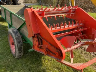 Veteran møgspreder