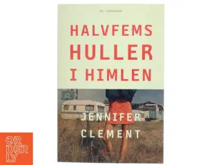 Halvfems huller i himlen : roman af Jennifer Clement (Bog)