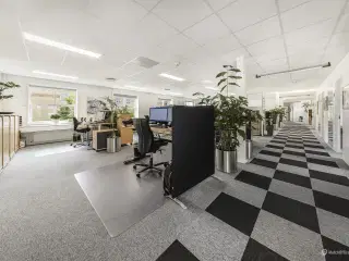 Lyst og moderne kontorlejemål på Park Allé – 1.661 m²
