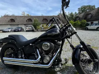 Harley - Night Train
