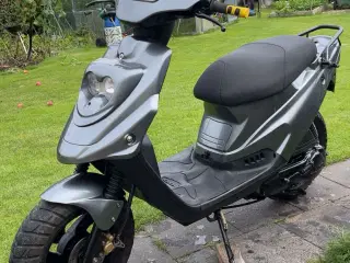 Fin pgo