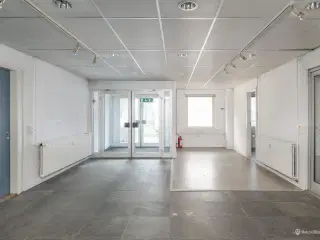 Synligt lejemål på Mileparken