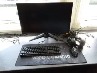 27" curved gaming monitor, ASROCK PHANTOM GAMING pg27f15rs1a