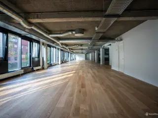 3 MÅNEDERS LEJEFRIHED
