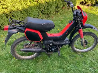 Yamaha sting 
