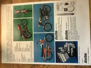 Everton brochure