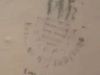 Elsterwerda porcelæn