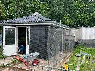 Jeg henter gratis fugle til privat hjem