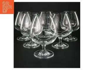 6 cognac glas (str. 6 stk Ø 6,5 cm højde 14,5 cm)